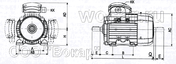      B3 ( )