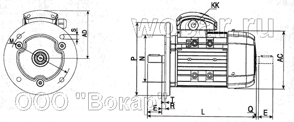     B5